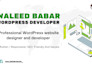 build minimalistic wordpress website, agency website or luxury hotel website